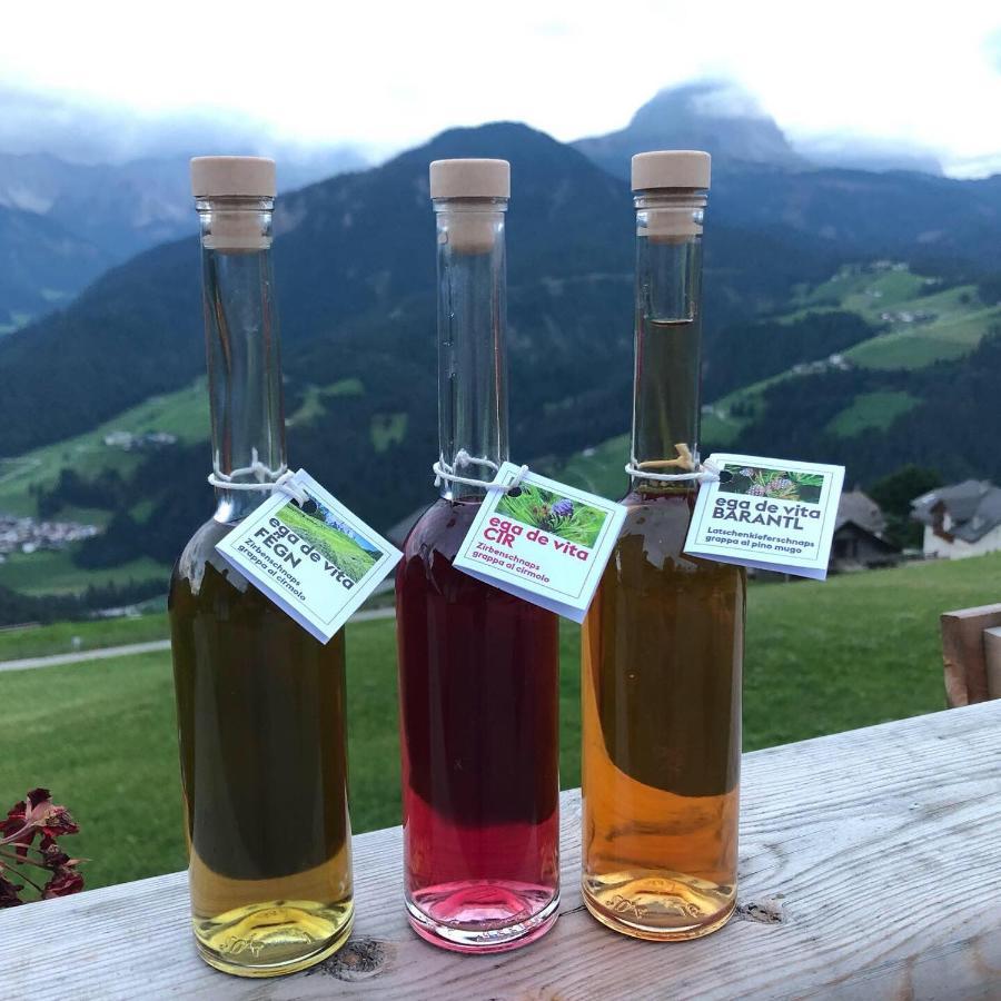 圣马蒂诺-因巴迪亚Alpinus Agriturism公寓 外观 照片