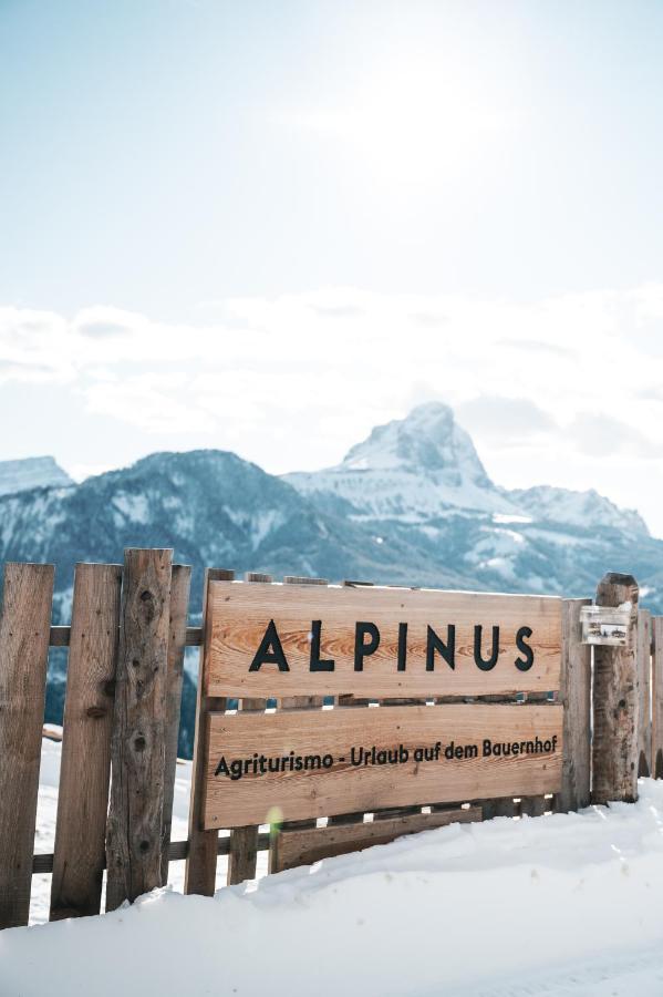 圣马蒂诺-因巴迪亚Alpinus Agriturism公寓 外观 照片