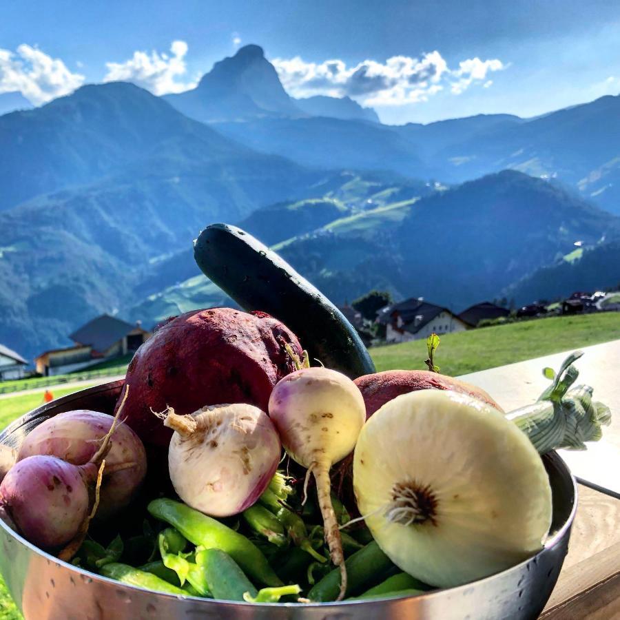圣马蒂诺-因巴迪亚Alpinus Agriturism公寓 外观 照片