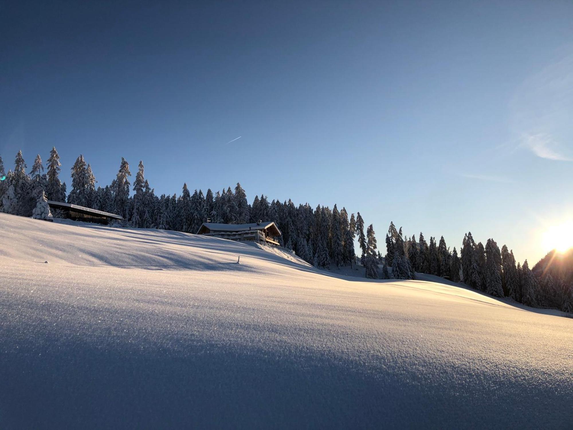 圣马蒂诺-因巴迪亚Alpinus Agriturism公寓 外观 照片
