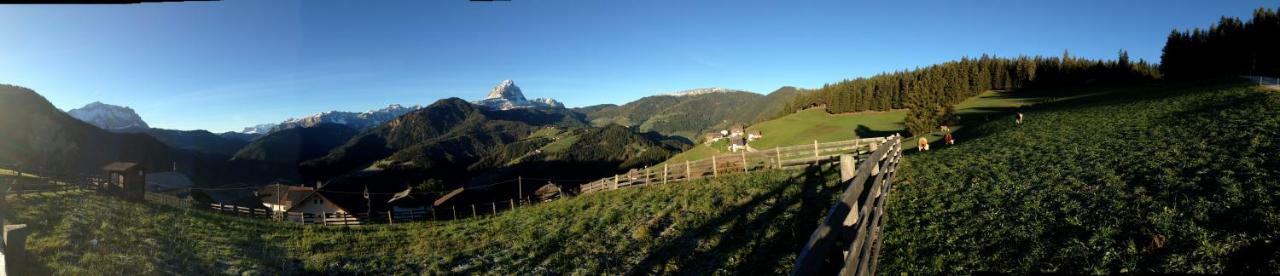 圣马蒂诺-因巴迪亚Alpinus Agriturism公寓 外观 照片