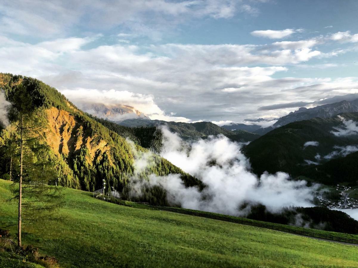 圣马蒂诺-因巴迪亚Alpinus Agriturism公寓 外观 照片