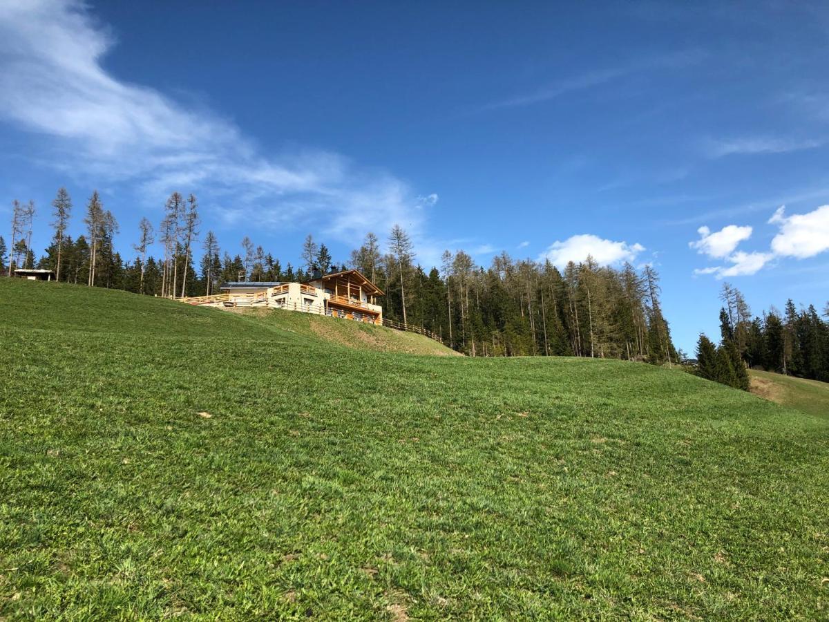 圣马蒂诺-因巴迪亚Alpinus Agriturism公寓 外观 照片