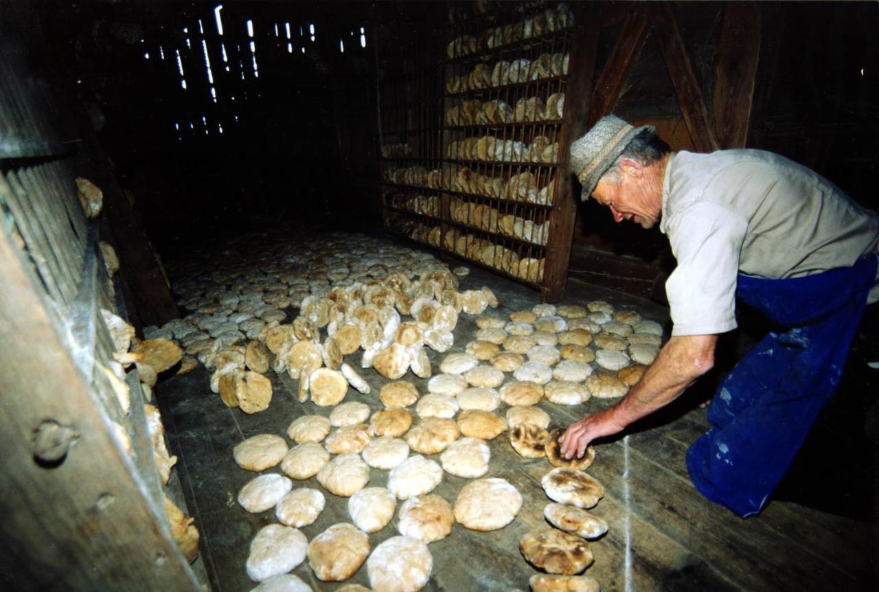 圣马蒂诺-因巴迪亚Alpinus Agriturism公寓 外观 照片